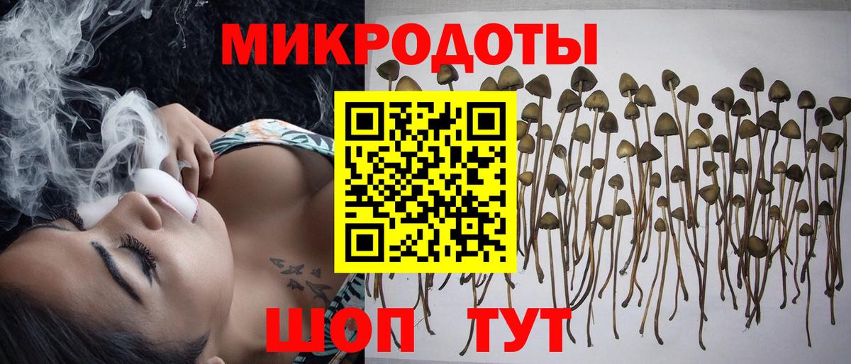 Псилоцибиновые грибы MAGIC MUSHROOMS  Псилоцибиновые грибы Cubensis  Вход с VPN  что такое наркотик  Самара 