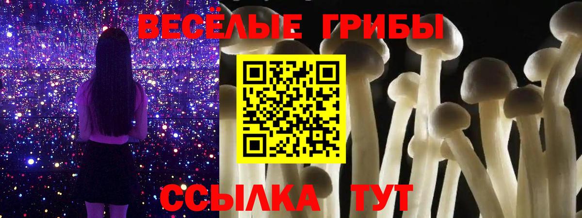 Галлюциногенные грибы Magic Shrooms Самара